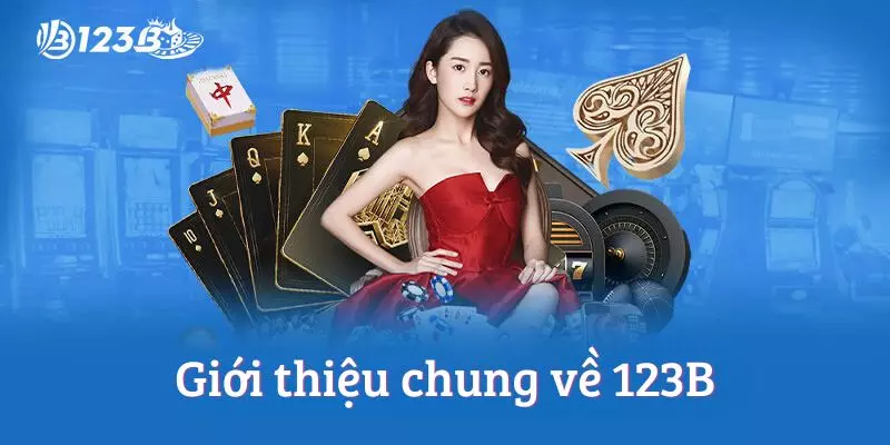 Giới thiệu chung về 123B