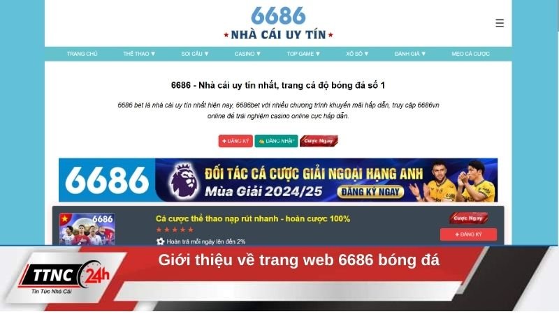 6686-bong-da-gioi-thieu