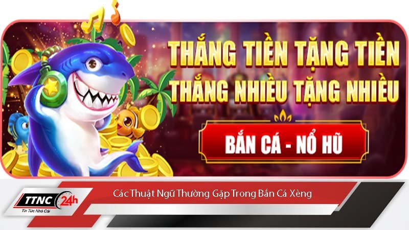 ban-ca-xeng-doi-thuong-uy-tin