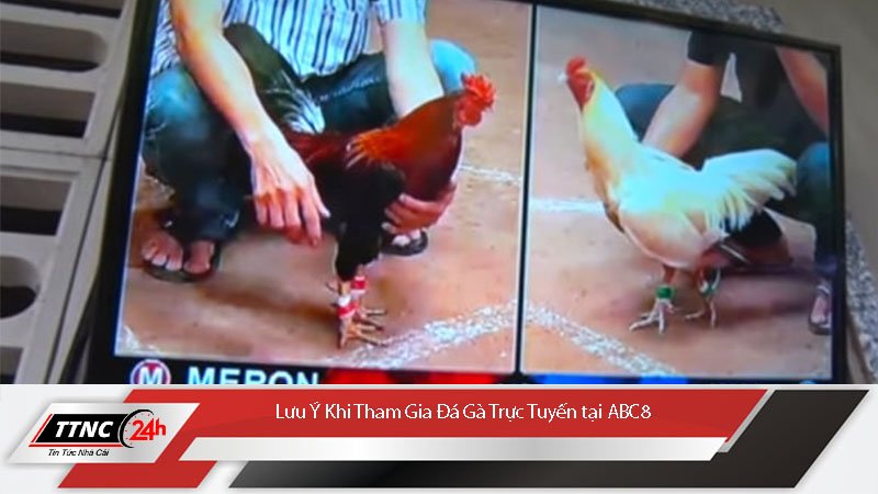 da-ga-thomo-hom-nay-moi-nhat