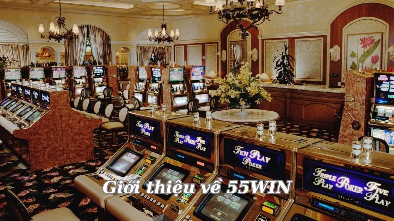 gioi-thieu-ve-55win