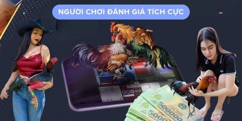 Người chơi đánh giá tích cực