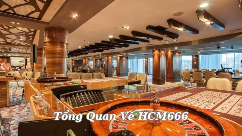 tong-quan-ve-hcm666