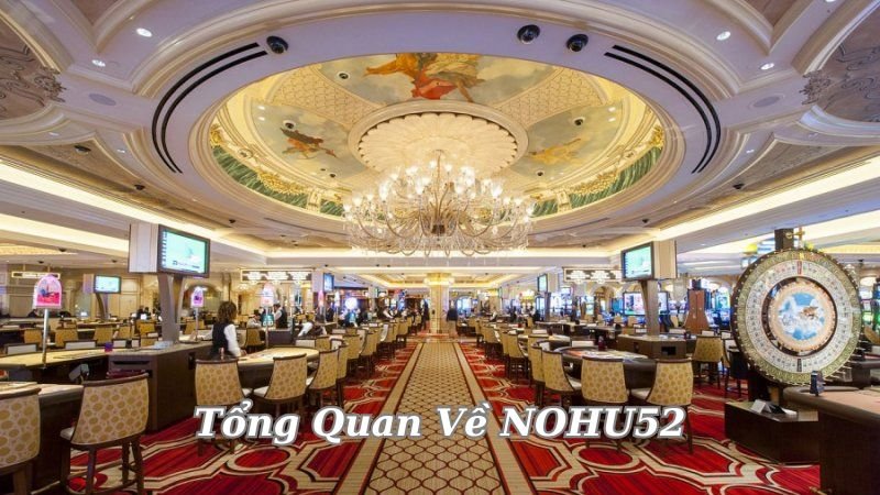 tong-quan-ve-nohu52