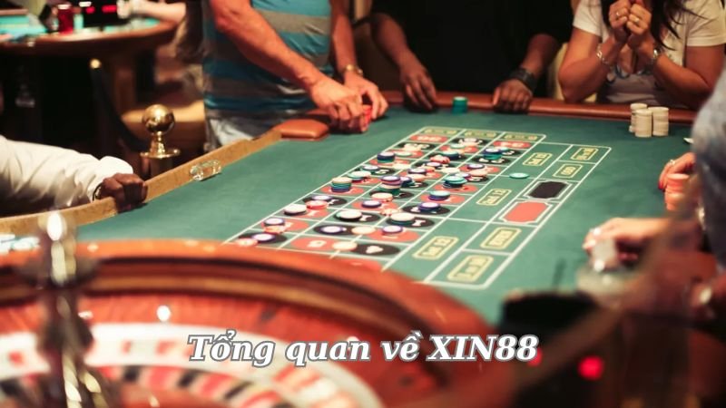 tong-quan-ve-xin88