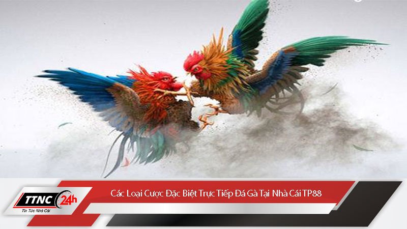 trang-web-xem-da-ga-truc-tiep-uy-tin